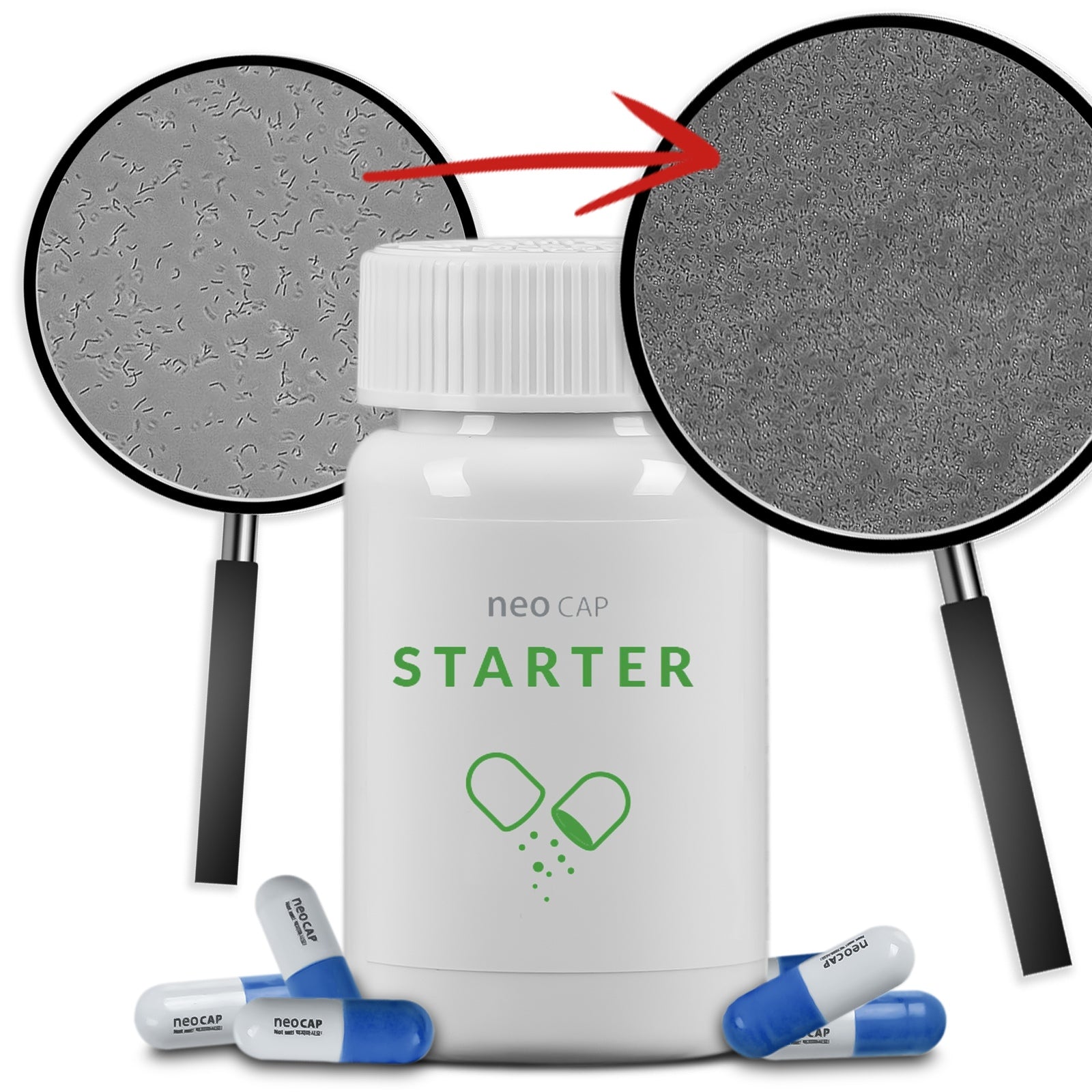 96913a702ce7d62be44ed5ef30df7120