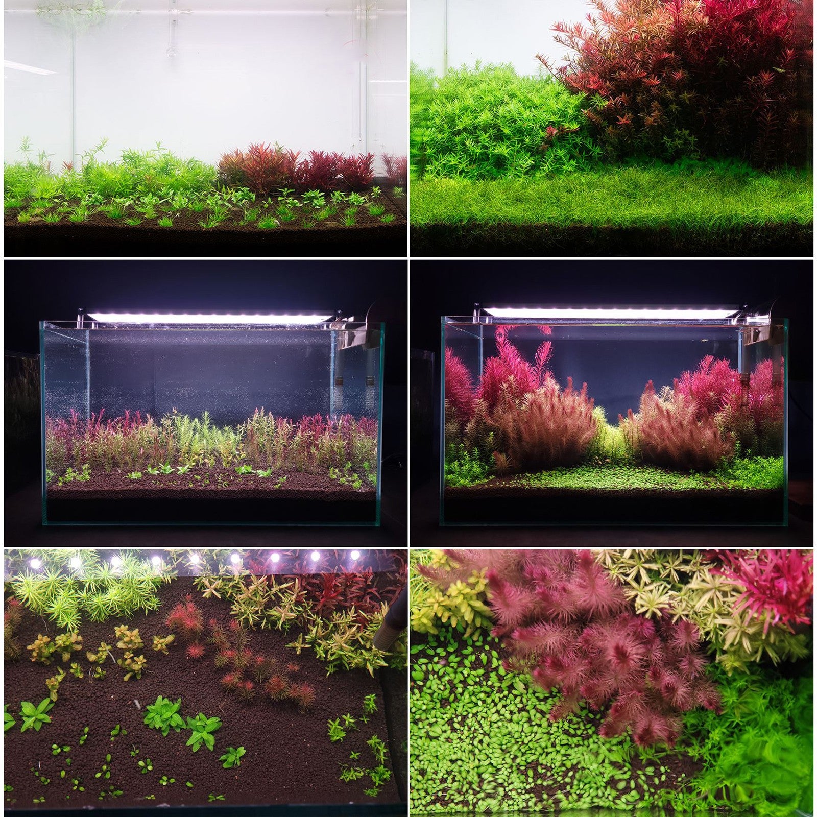 63dd1e3caf466d5cbb1b94459ae7e5f7