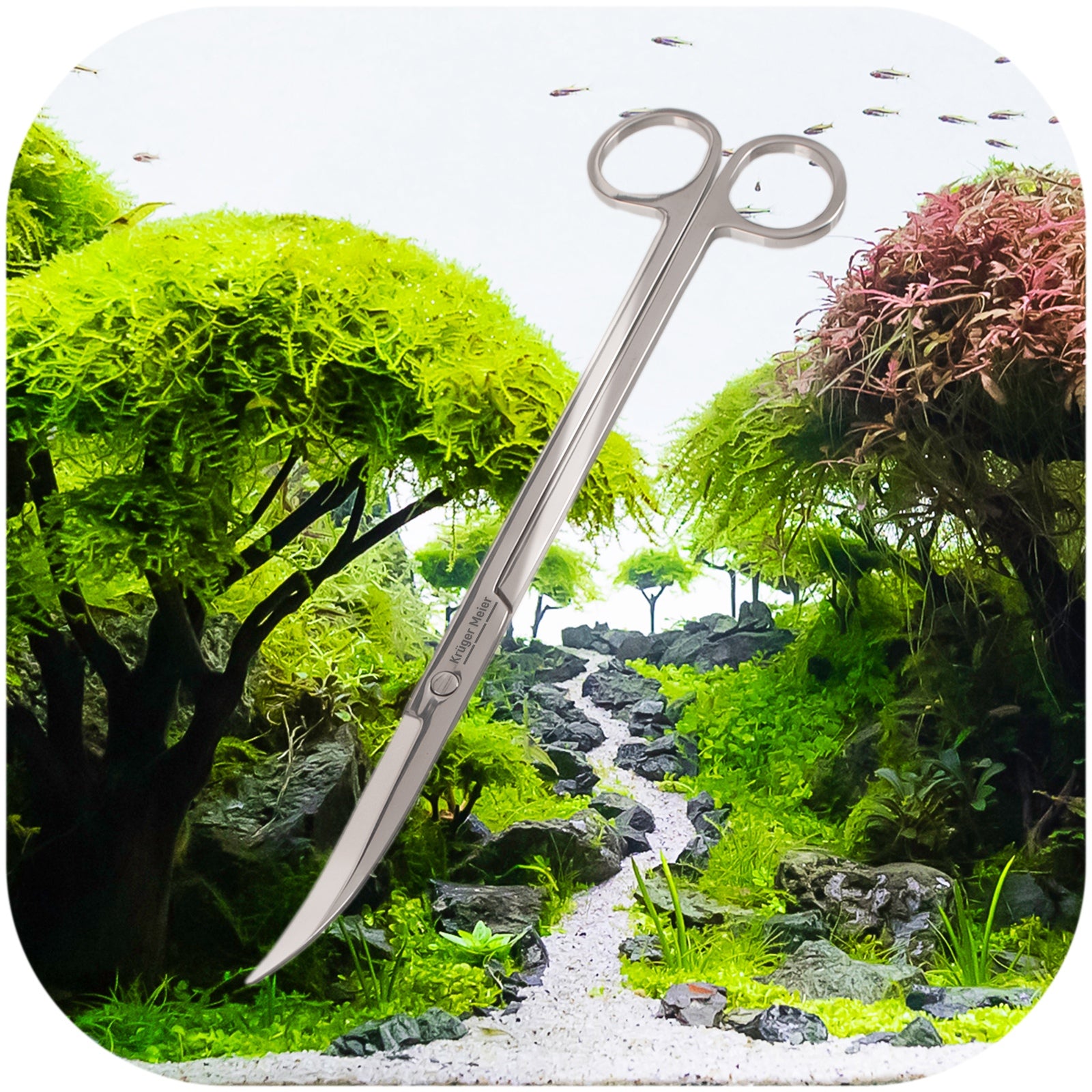 fcef8841b6b101700cb5aba86d5a8ba3