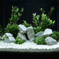 1c8deb25cc4de54cdbba1dba01357c47