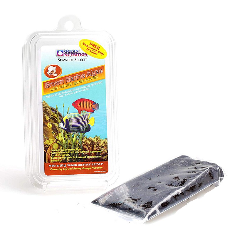 90740f9a08aca537886c75440432a544