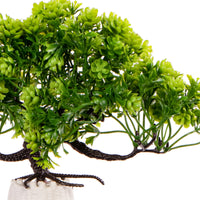 a381dc695e3510391d7cc11017bc1d05