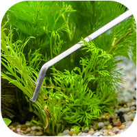 15426eea343ba1302b59c831ee34a8b1