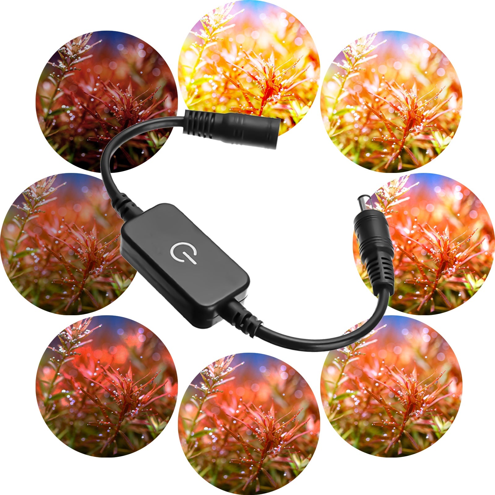 6196ad48c456a4e38cf8cfa742024439