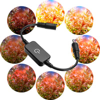 6196ad48c456a4e38cf8cfa742024439