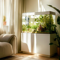 9e527f62e05934df87a105b1066091fa