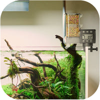 fba3441180082e0502348f39540cc2cb