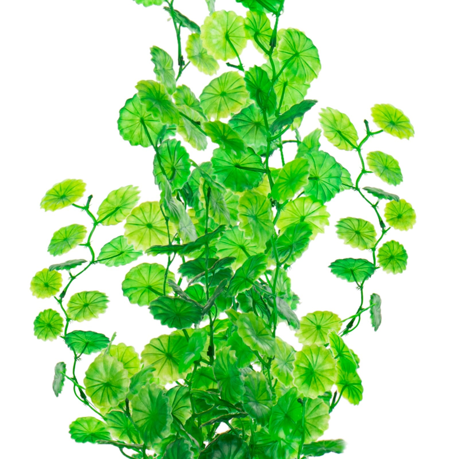 19b900a1fa36e771657bf3c9c2d01532