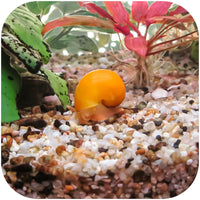 06c8ed152fada4406a6c12ef1ae374d8