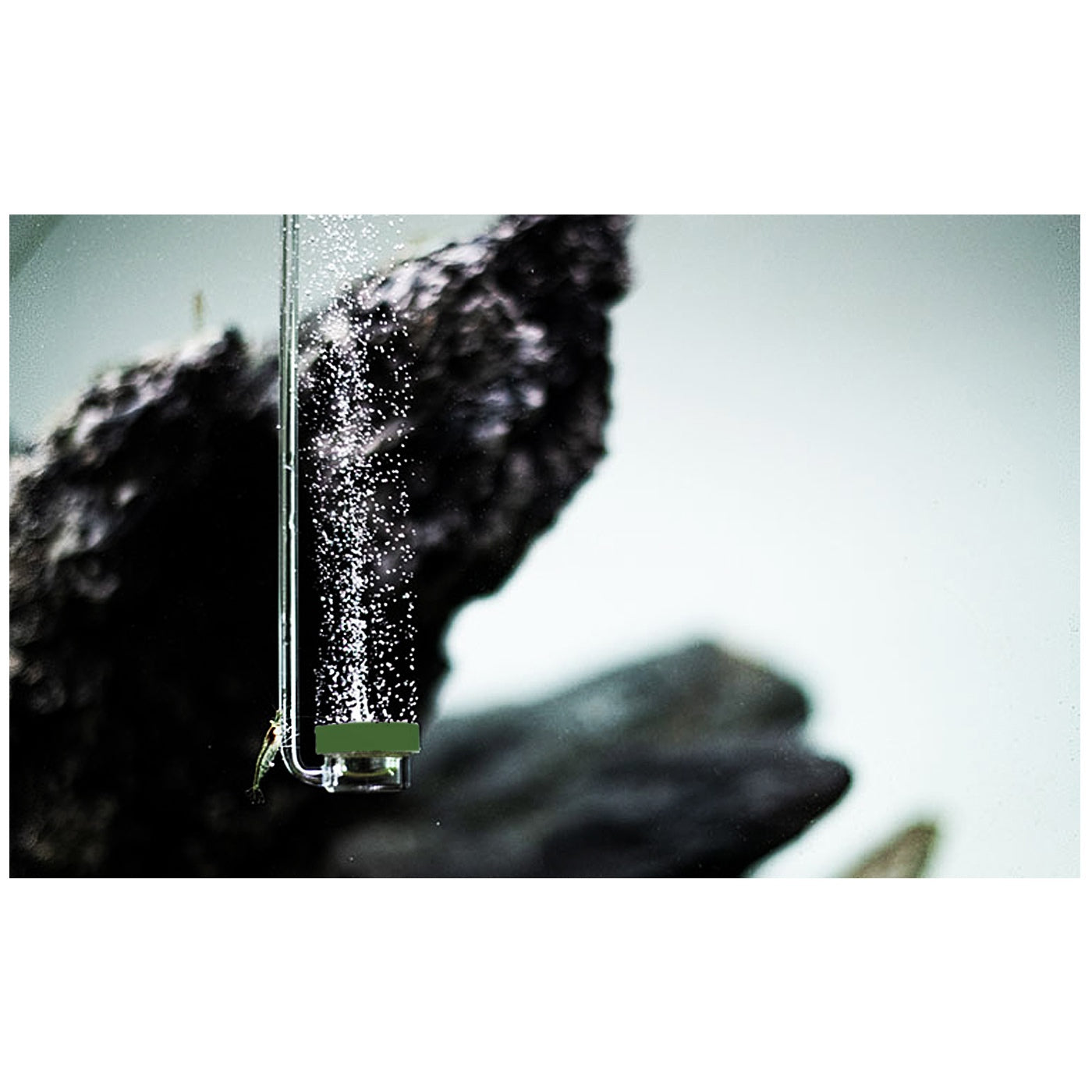 611789e084210ef46d9730edc973580e