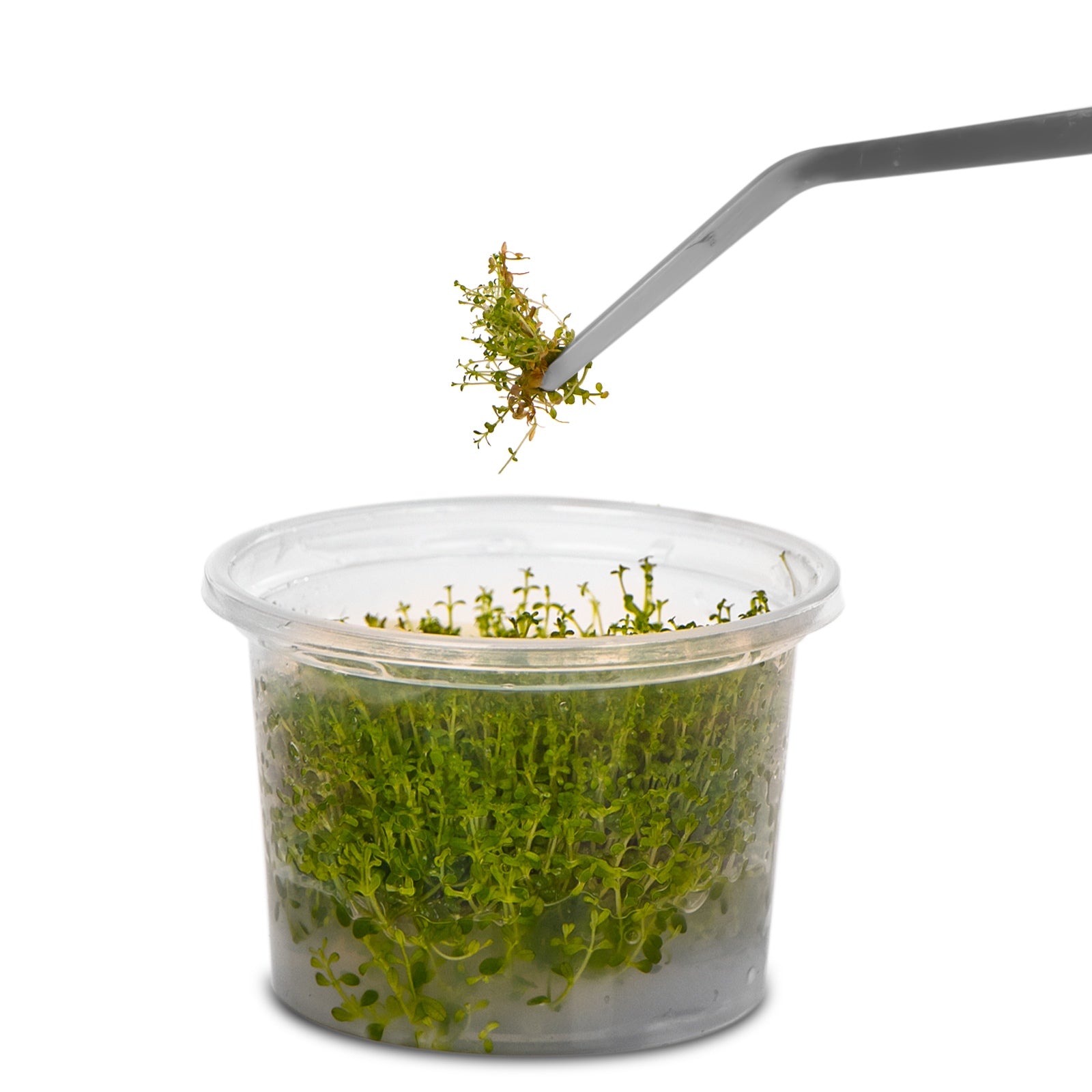 1b4e030c1f1c8821a2086e18569705c0