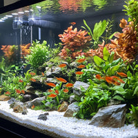 0a7ed7c00ca1418b8de3ea4a03e376dd