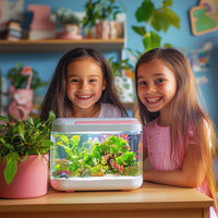 dfabfea83413cb12b1b6a330ae7eb5ce