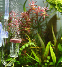 4670e8a845d509a6fe8fbc0b1722719e