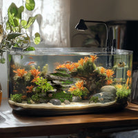 e2a71828ecc51a5c9cd253864a904051