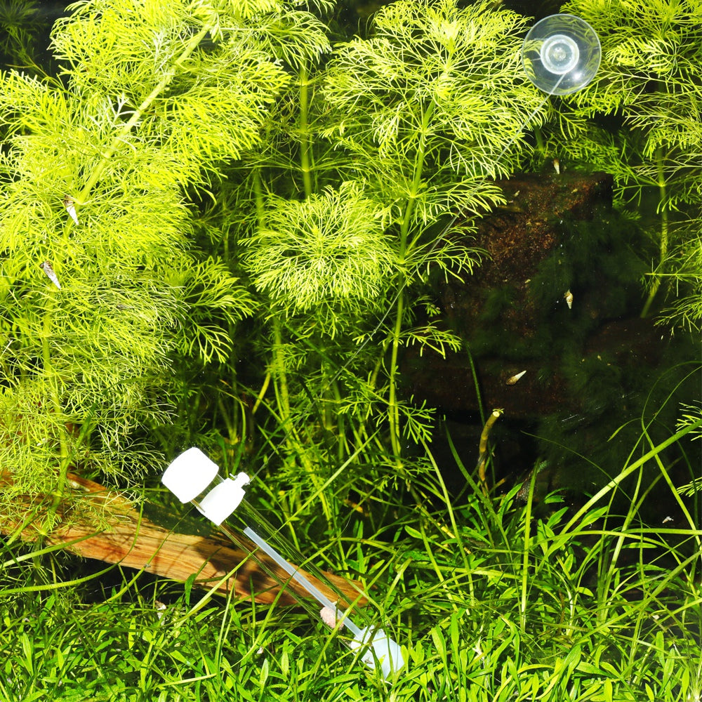 4633936e9d2e821103262b5db5613748