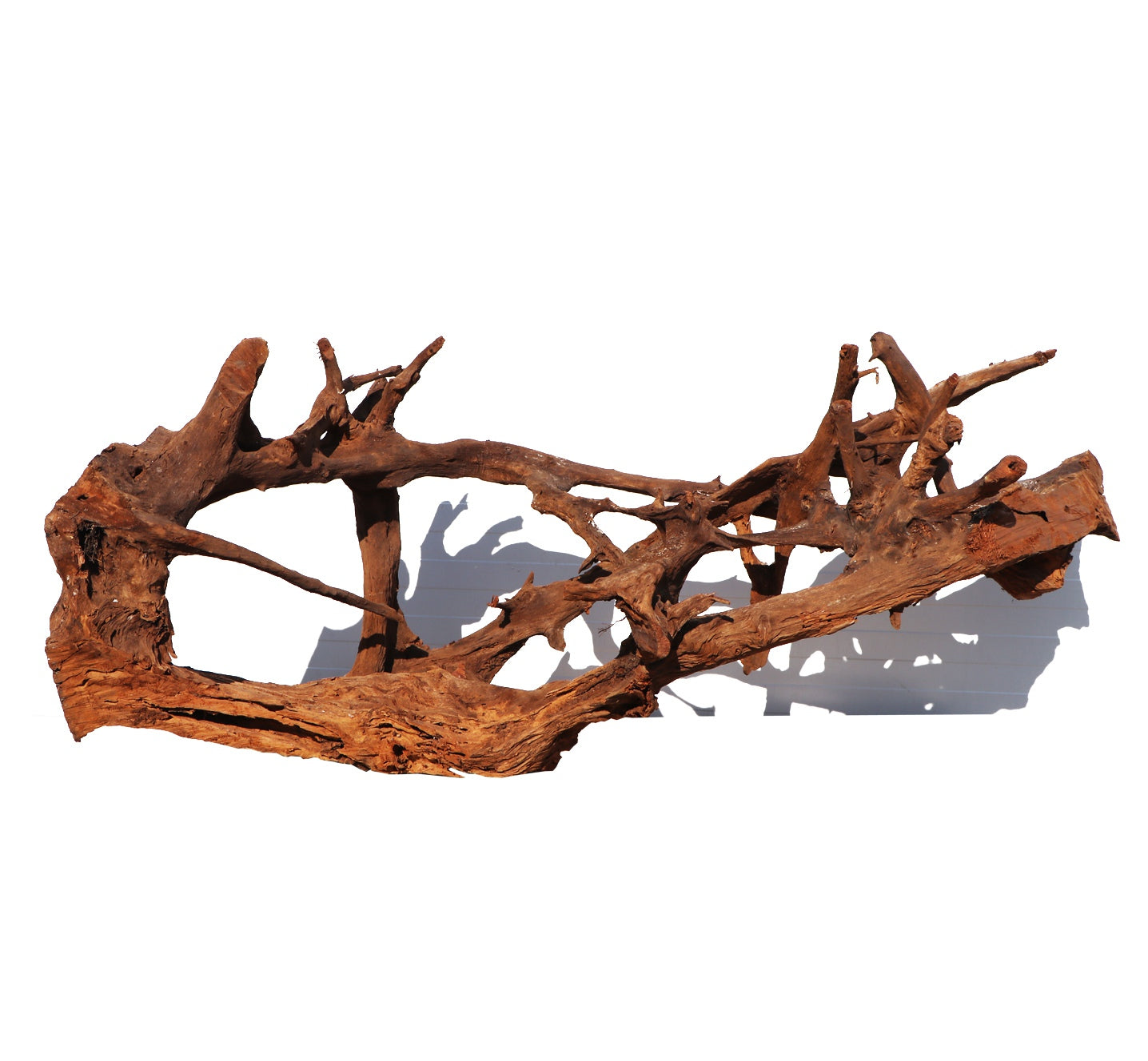 51fda76cad252427e0d256e7908b512b