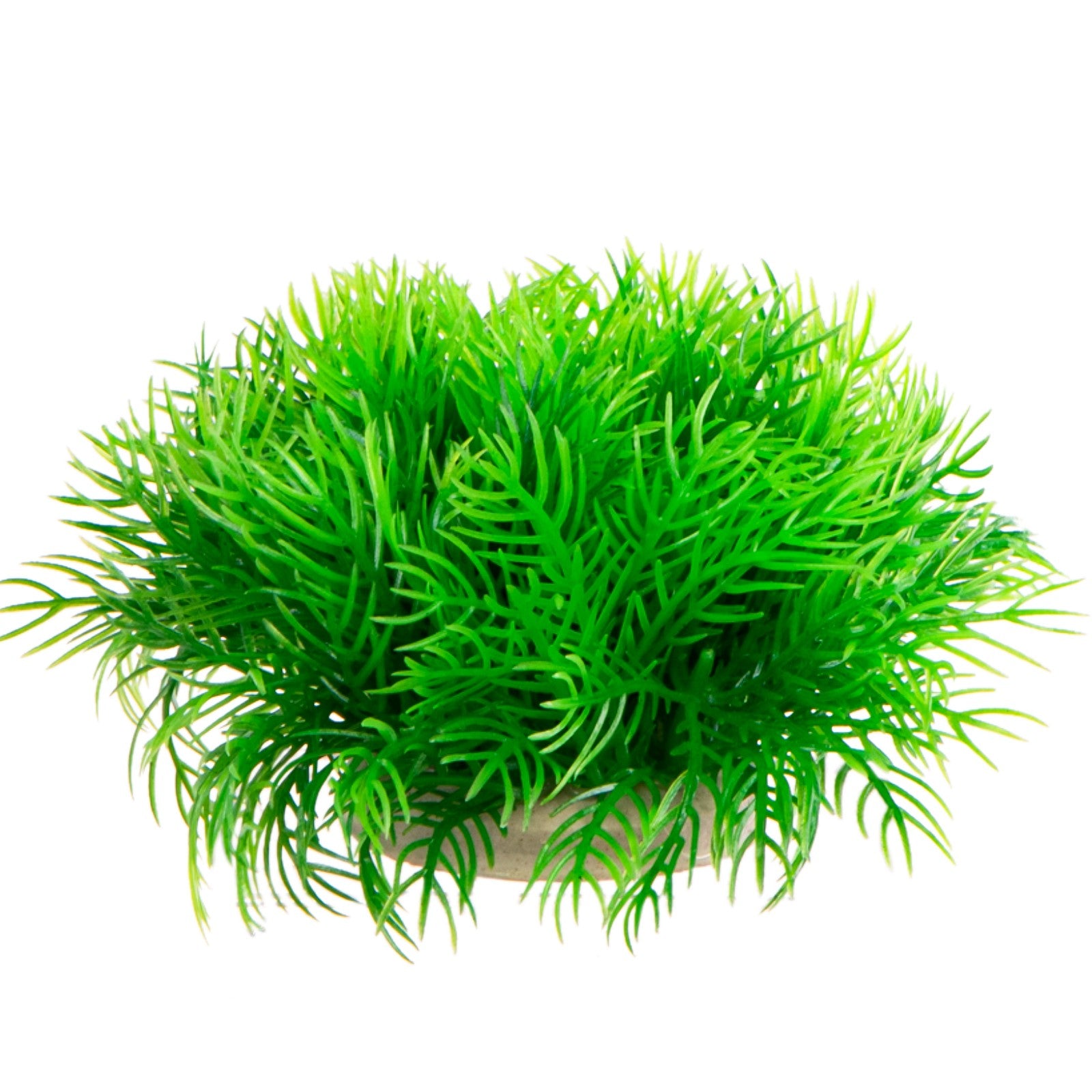 989dc946abc2c0c85fda515723fd4d12