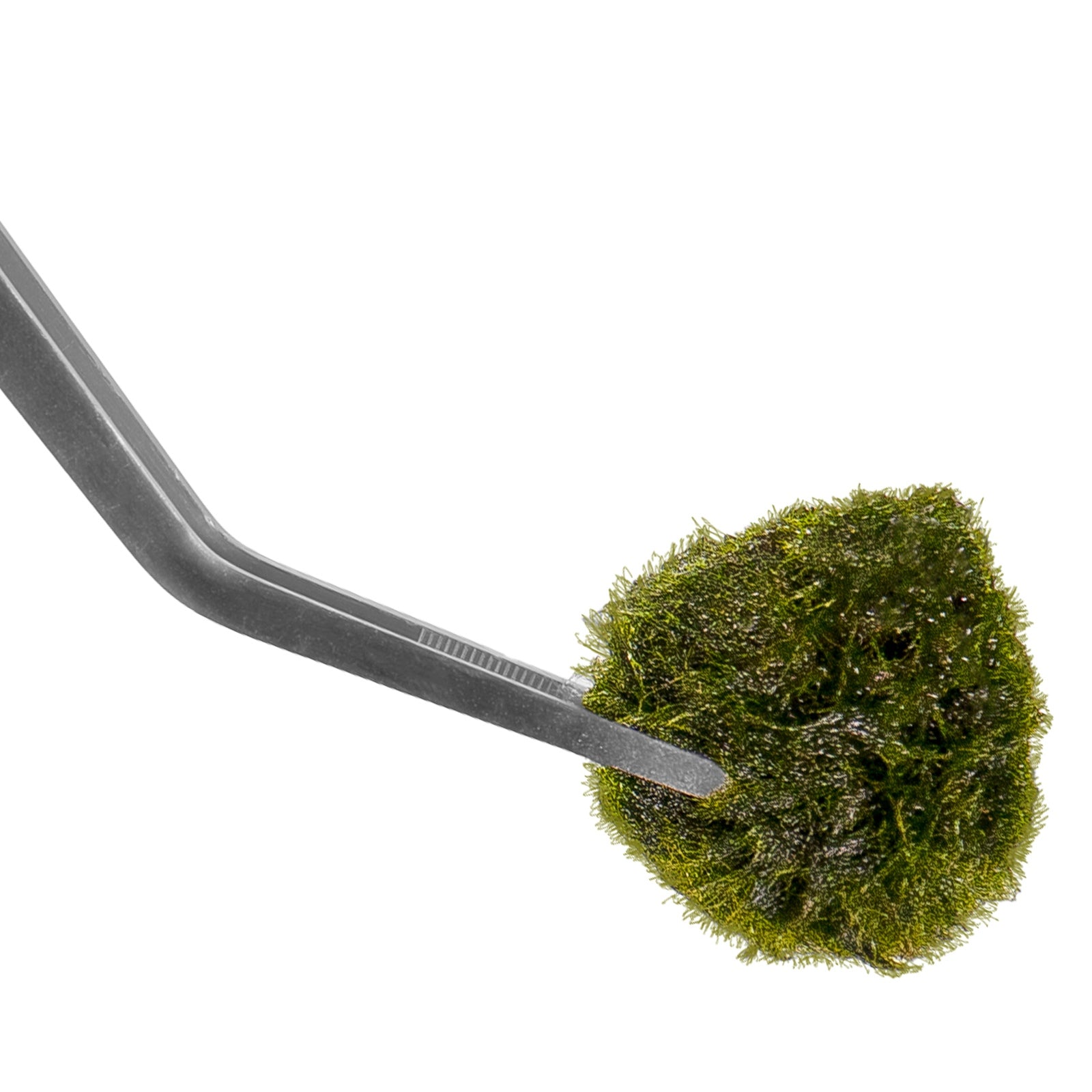 7691bbbebbb21bfee20995bdc64b96b1