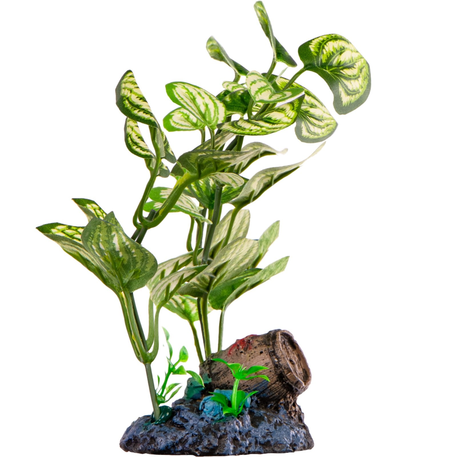 4e39097edc997a6aa20ce3e20fe69511