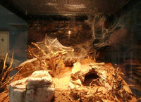 b449b5c3bf554a035d25c5d6b8f63b5e