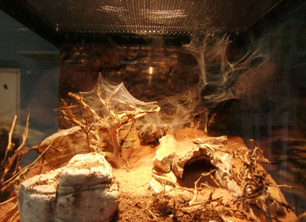 b449b5c3bf554a035d25c5d6b8f63b5e