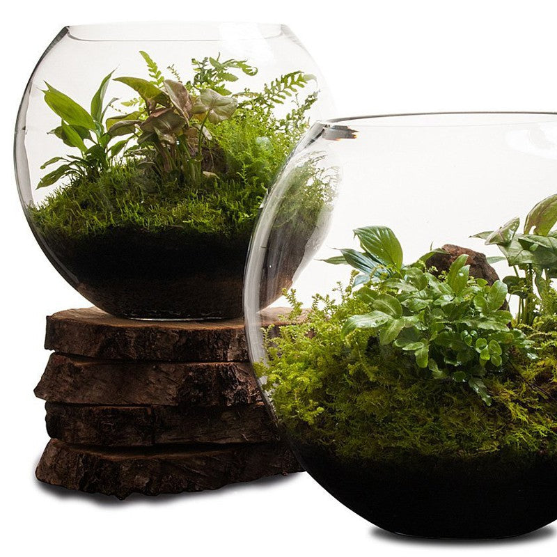 190587e2c126e625646a8bc78fd47e37