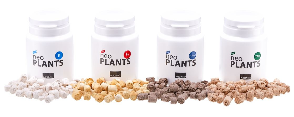 748cd2213d7fd40a03695551f3ce2995