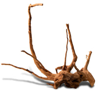 d6a23284bdea85296ecaa629bc02db5b