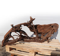 44464a37d0da64526d05392fe557b13c