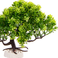 dc95faeab31f36ec85343562e163b9de