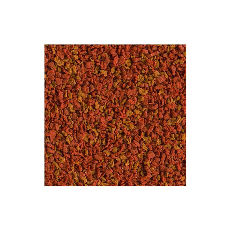 90baeff2c3dd5f3ecbc1881d952368e2