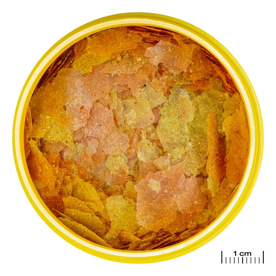 43fb105c170d9938333e6a13eedaf06b