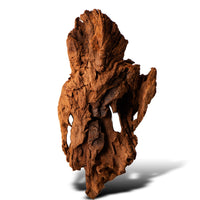 e86ec6e0bb19072ca3872232744a3063