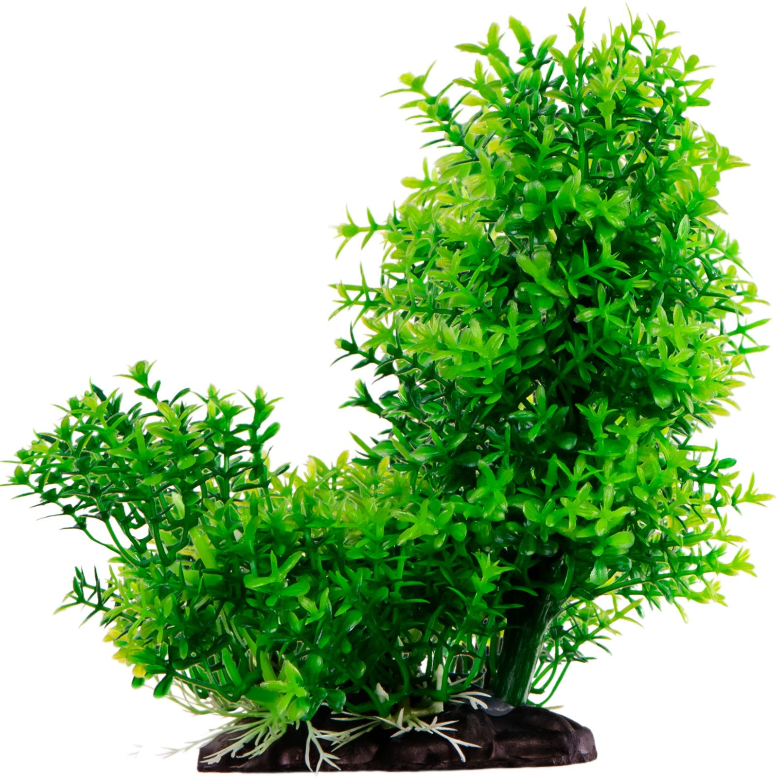 5ca930b62fcb559f1996d73b14f655fd