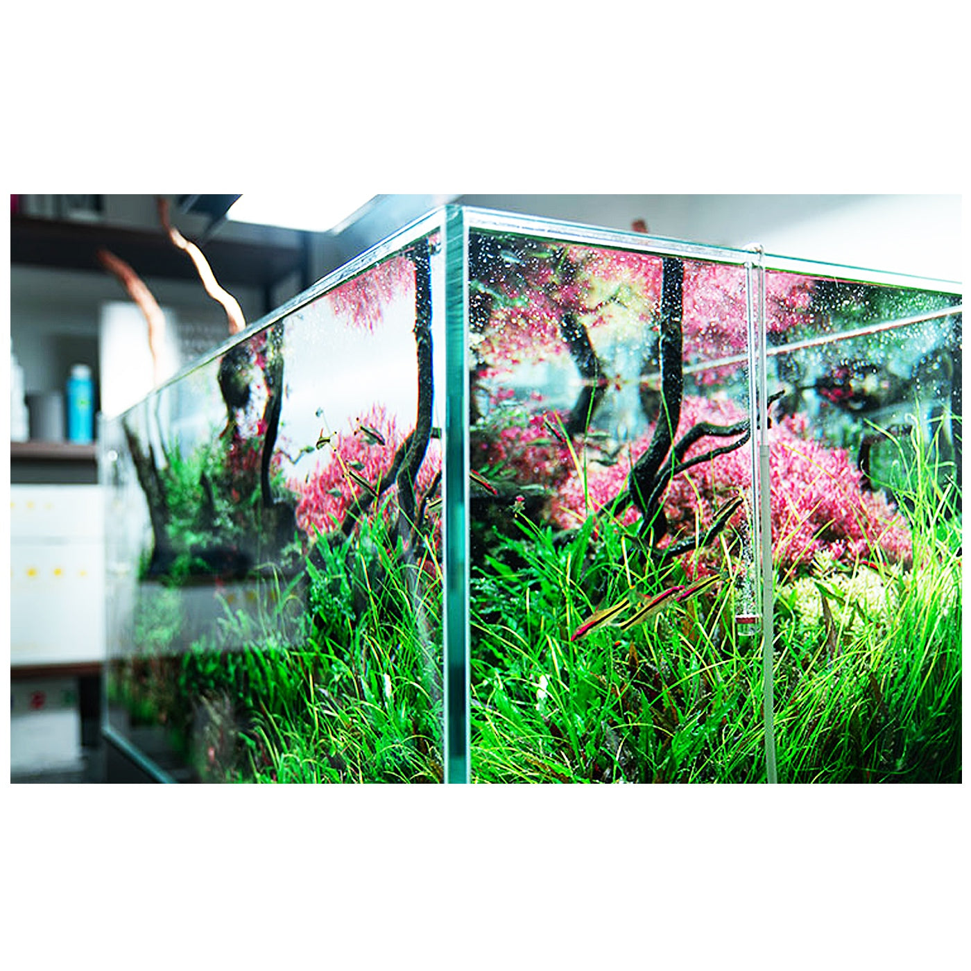 b6abf25575270b7a780e761996b3ce89