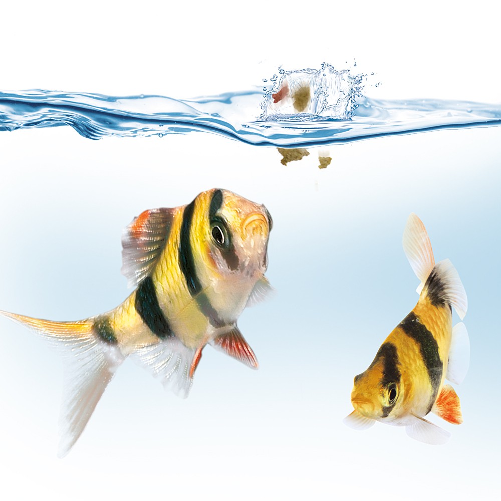 74abac46f2b67d4eb9b71ee8824c11ab