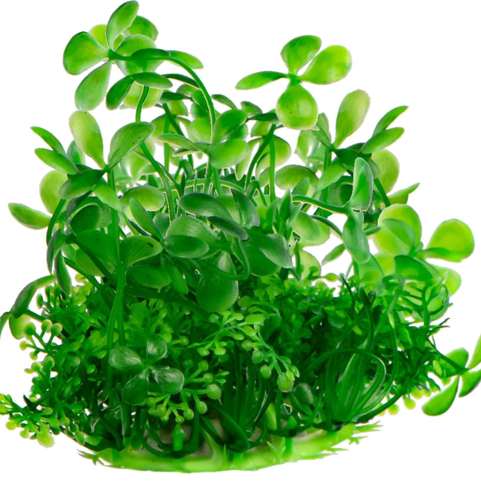 965835c934c7e2b7a047a81184bec231