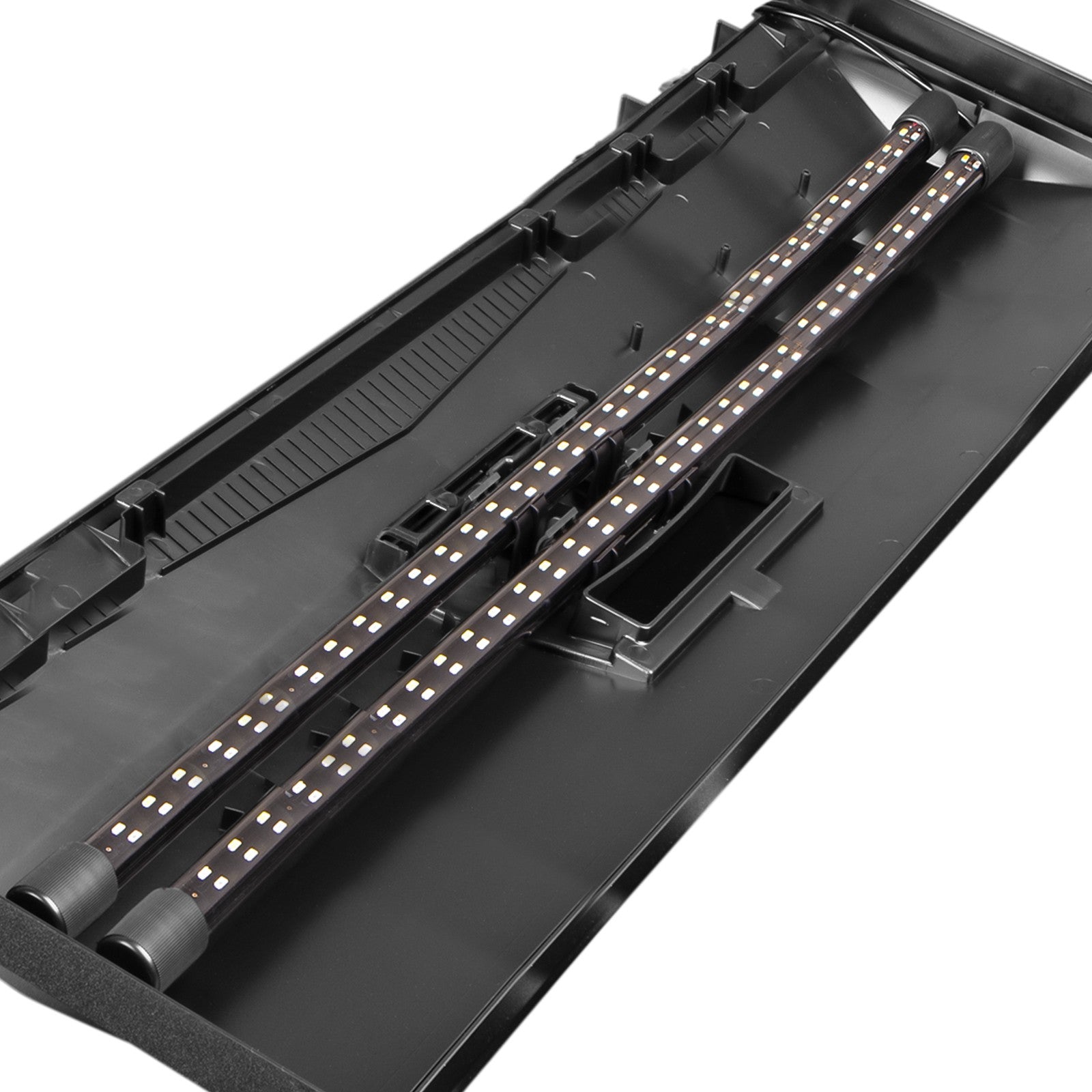 2169c5bd8f0a4831e5b6e80be02985ab