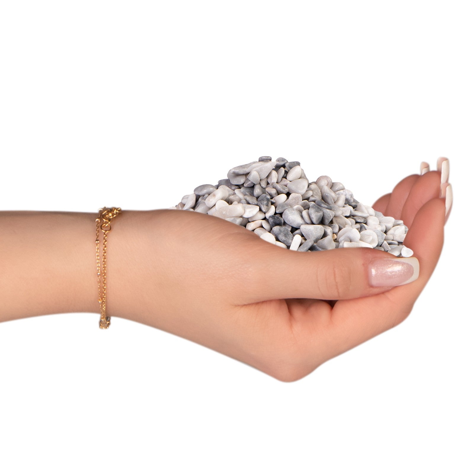 81de5ed011d4868f3d9b71e38d8ca3d7