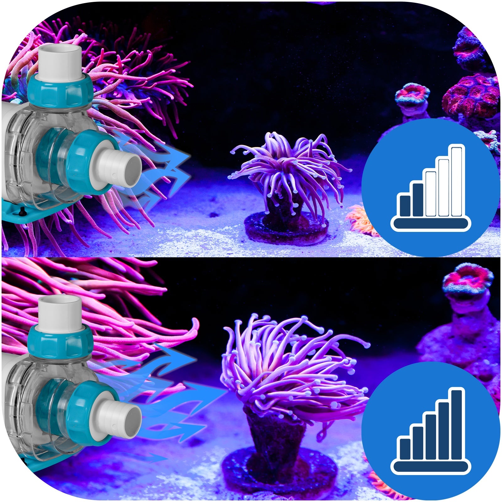 68a61091211cfb87d28a160a95d25b99