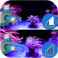 68a61091211cfb87d28a160a95d25b99