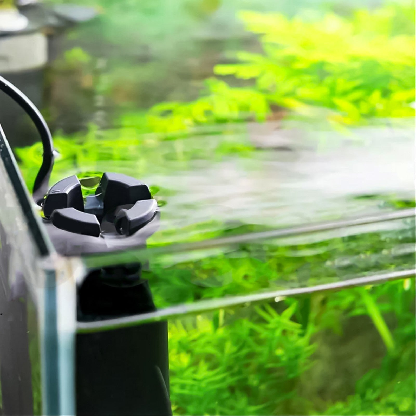 22c69528c0b211697414e6d5d4788bdd