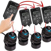 283c88425e7f39975ab16e4f9655a710