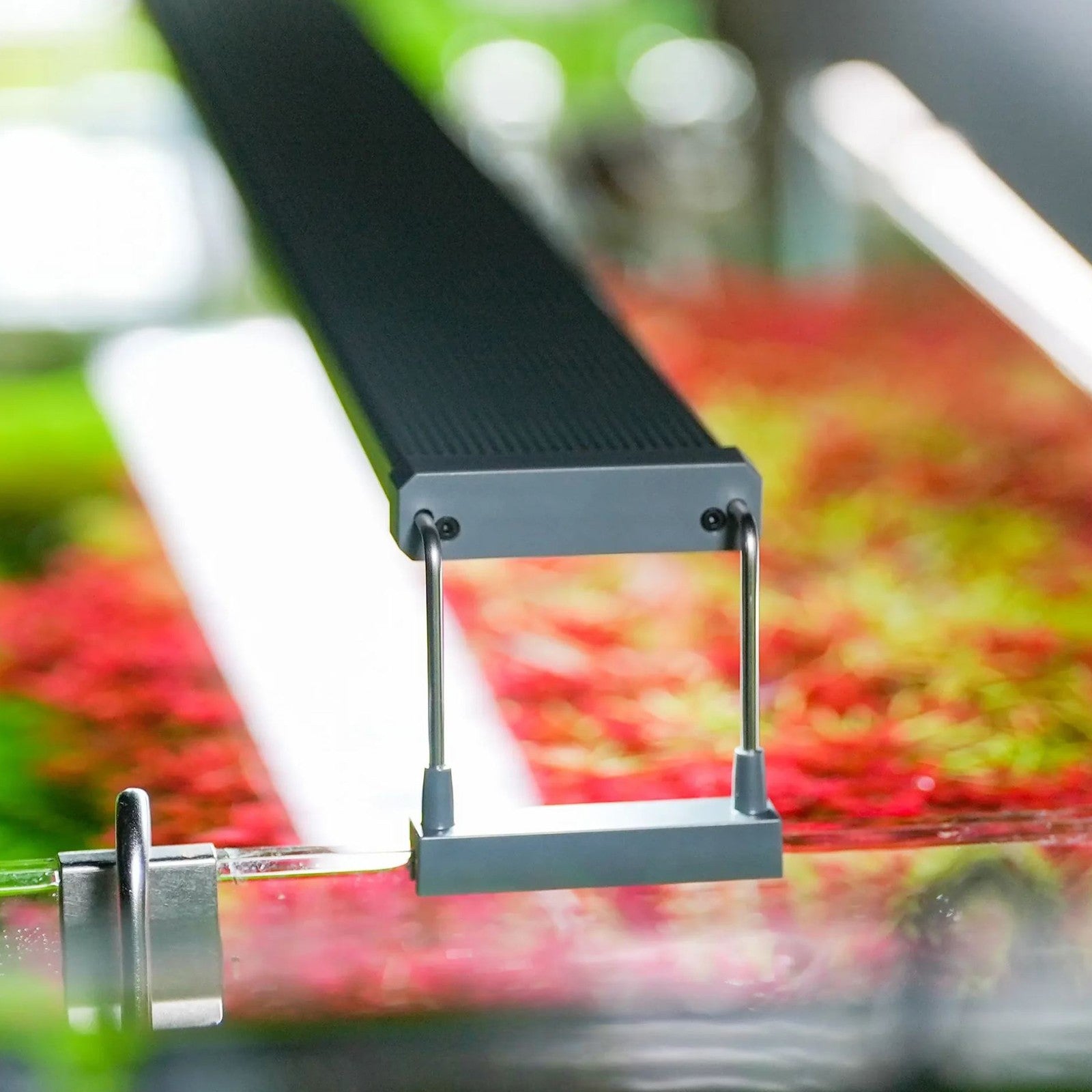 ac956f11f98316911db59e477ac476ce