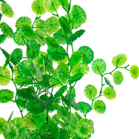 32907a6f01406292a53b4e1a6b29bf00