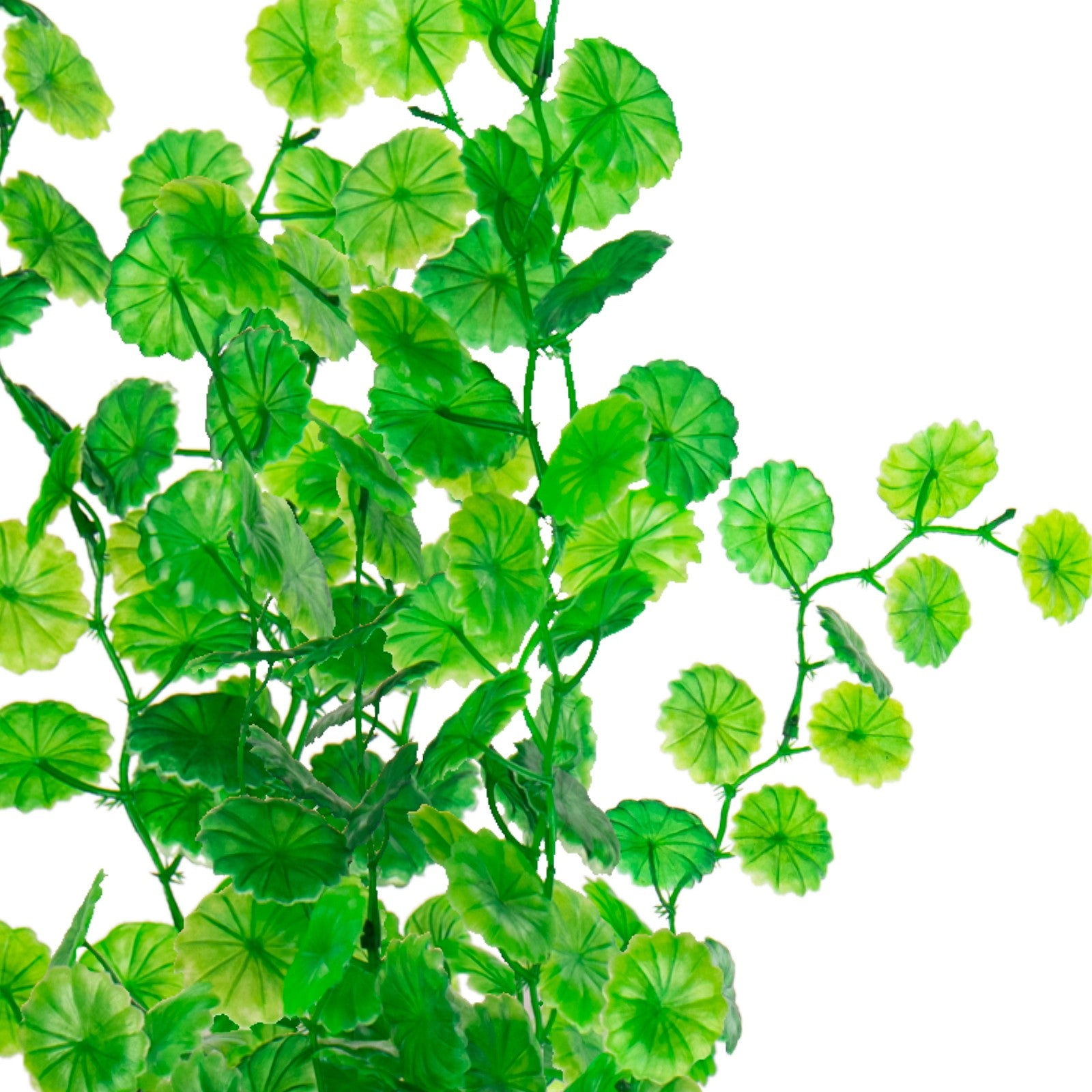 32907a6f01406292a53b4e1a6b29bf00