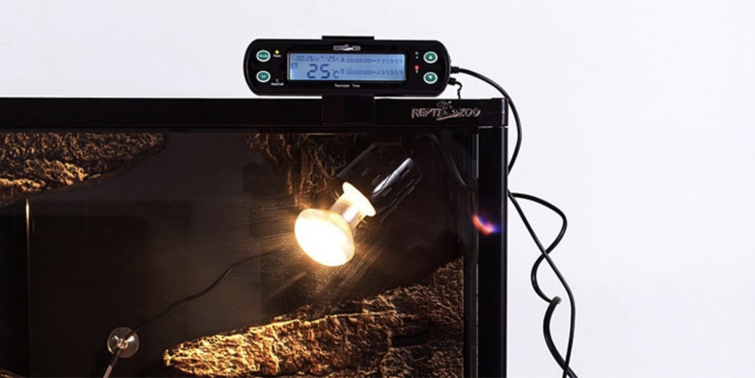 40e0ae6f03e1a03ad5a1e4d3e5c36013