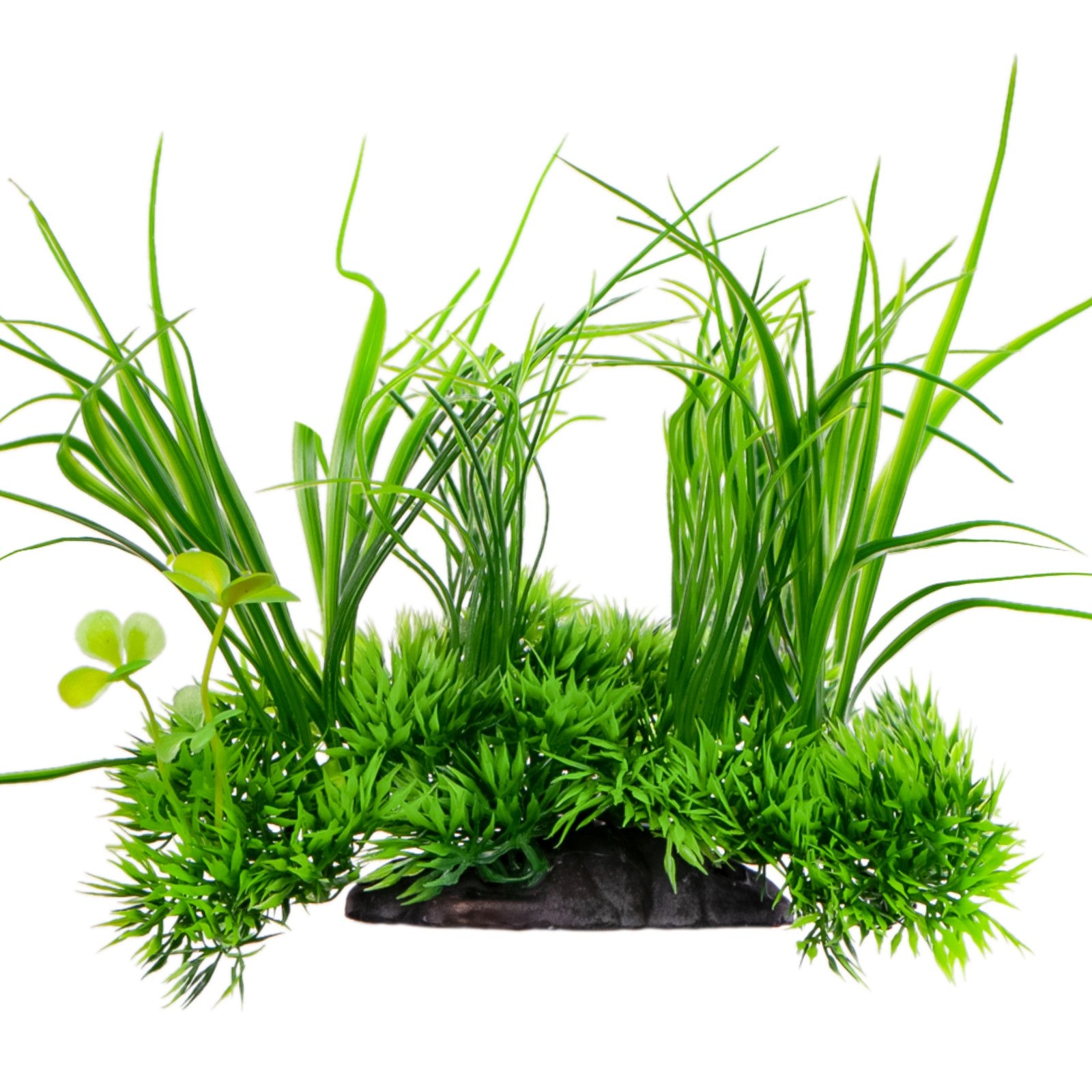 c4078858a295d5a7b21c7e05696f25f9