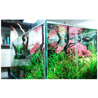 4d54ae22725e546b69d9ca5534ba5a80